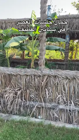 #VNVideoEditor #الشعب_الصيني_ماله_حل😂😂 #تصوير #اكسبلور #الدمام #القطيف #الخبر #قهوه #كوفي #فطور #فطور_الصباح #ترند #ترند_جديد #ترند_تيك_توك #ترند_الاكسبلور #ترند_جديد🔥2021🎬 #ترند_جديد🔥🎬 #ترند_ #_ترند #ترند_اليوم #ترند_العرب #fyp #fouryou #techworld #foryoupage #foryourpage #fypシ #tiktok