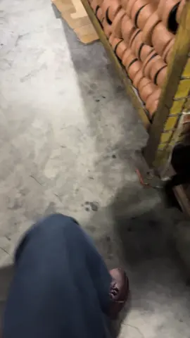 #neweralamongan #lamongan24jam 