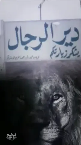 دير الزور هي 🐆🖤#تصميمي #فخم_ال_هفل #عكيدات_عيال_الأبرز_ديرالزور #دير_الزور #ديرالزور #دير_الرجال_505 #ديرت_الموت