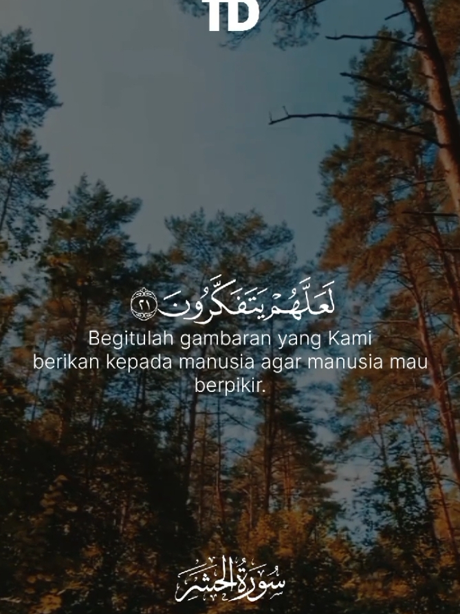 Tadabbur Surah Al-Hasyr (Ayat 19-21) #tilawahdaily 