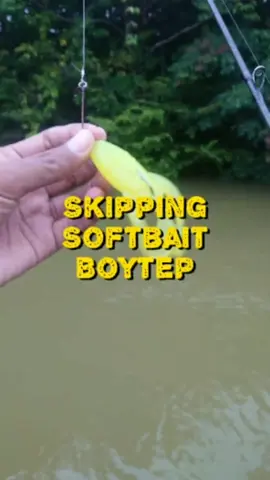 Skipping softbait boytep #toman #ikantoman #fishing #kingcurutz #teamcurutz #boytep #boytepbrothermalaysia 