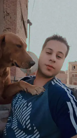 #لودا🦂❤️‍🔥  #جيسي  #🐶🐶 