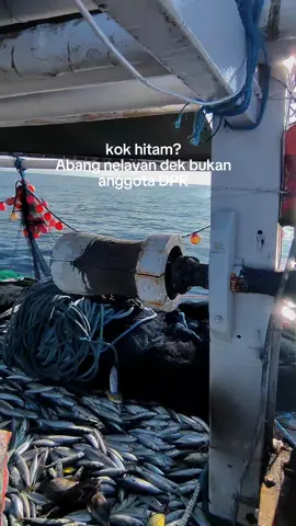 #mandar #masukberanda   #fypシ゚viral   #pelautmuda🚢⚓  #insyaallah  klau masi takut hitam jangan jadi nelayan