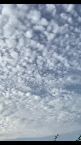 انا ارثي العايشين او ارثي الميتين#اكسبلور #الوليد_ال_عامر 