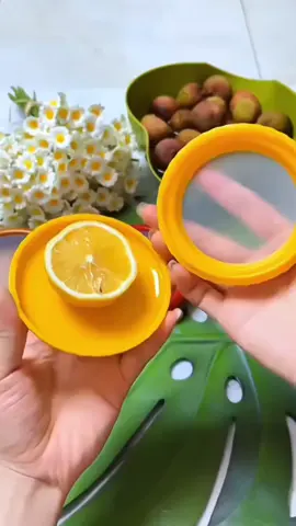 dụng cụ bảo quản thực phẩm #TikTokAwardsVN #xhtiktok #xuhuong2022 #xuhuongtiktok2023 #xuhuong2024 #tủlạnhsamsung 