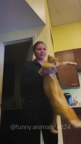 Funny animals#funnyvideos #funnyanimals #pet #fyp #foryou 