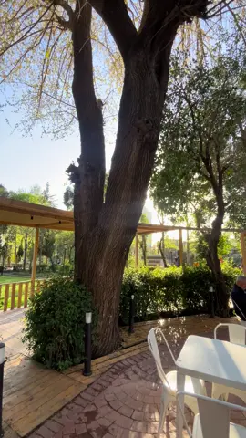 #سلێمانیەکەم #😍 #باخی گشتی 🥰#ئەکتیڤبن🥀🖤ـہہـ٨ــہ  @Korayizitas#slimane 