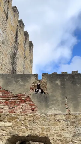 Oggi mi sentivo umile