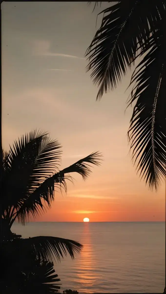 #trending #viral #viralphotos #wallpapers #aesthetic #foryou #fyp #sunrise 