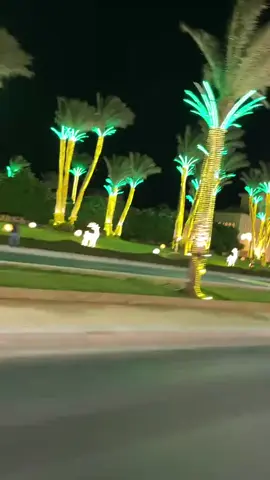 الغردقه البحر الاحمر ♥️♥️