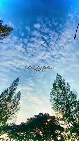 Shape of My Heart 🤍#backstreetboys #storytime #shapeofmyheart #oldsong #90s #lyrics #music #lyrics_songs #liriklagu #laguviral #fyp 