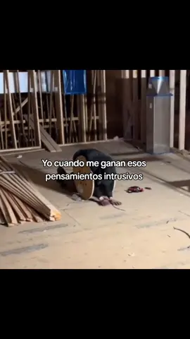 #humor #soloparati #HUMOR #fypシ゚ #2024 #viral_video #🔥 #🗿 #parati 