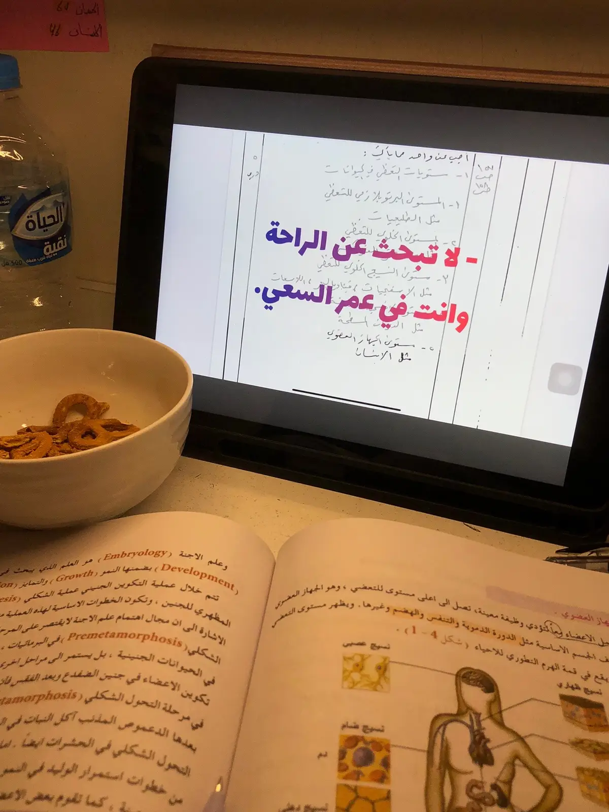 #cupcut #baghdad #iraq 