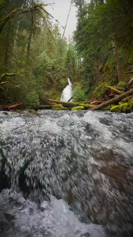 Rising above a rushing creek to reveal a breathtaking waterfall cascading in the distance—a perfect harmony of motion and serenity 😍 #nature #Outdoors #cinematic #calm #creek 