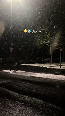 #هذا_جوي😌 #اجواء_الثلج_غير #الشعب_الصيني_ماله_حل😂😂 #فيديوهات_حب_عشق_♥️🙈 #حالة_حب❤🔥 #المانيا🇩🇪 