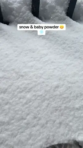 if the snow stays around long enough I'll do a series ##asmr##asmrvideo##asmrtiktoks##asmrsounds##asmrsnow##asmrbabypowder##snowasmr##babypowderasmr##snow##babypowder##snowplay##asmrpowderplay##powderplayasmr##powderplay##asmroutdoors