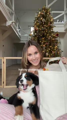 holiday giveaway! comment below and follow me on substack to enter 🎄🫶🎁