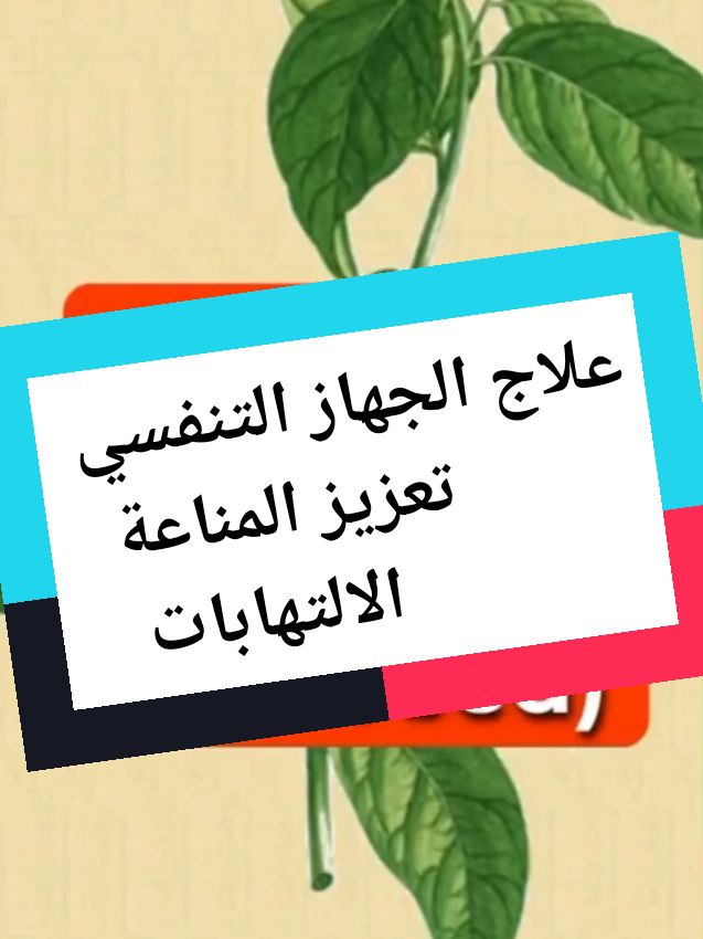 #صحة_الجهاز_التنفسي #تعزيز_المناعة #مكافحة_الالتهابات #علاج_التوتر #علاج_طبيعي #الدكتور_سيبي 