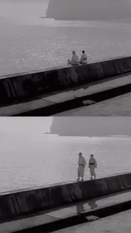 Tokyo Story (1953) directed by Yasujiro Ozu #japanesefilm #japaneseculture #japanesemovie #japan #filmclips #filmtok 