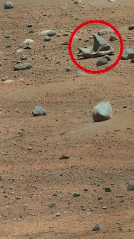 This is Mars... sol 884...