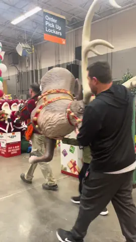 #homedecor #homedepot #christmas #fy #foryourpage #reindeer #christmasgift #chrsitmaslights #christmas2024 #texas #display #homedepot #christmascountdown @HomeDepotOfficial 