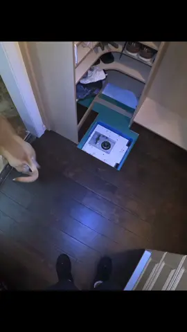 Part 1: Ripped up the carpet and he found the hidden floor safe. #hiddensafe #floorsafe #mystery #rippedup 