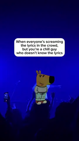 Who can relate? WOO - Logic  Love the chill guy memes #chillguy #concerts #concertmemes 