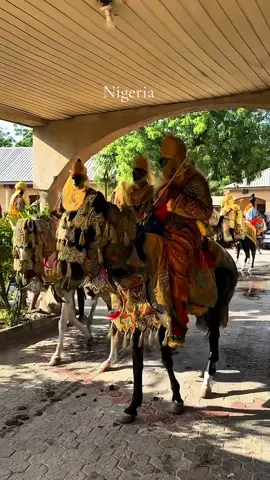 The colors of Nigeria pt. 1 #nigeriantiktok🇳🇬 #westafrica #hausa #arewa__tiktok #foryou #north #viralvideos #horses #culture #History #nigerian #nigeria #goviral #trend #durbar #horsesoftiktok 