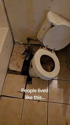 The joys of flipping. Home was bought sight unseen tenant occupied... had to do a writ of possession and forcibly evict the non paying tenant... and thisnis what we found...