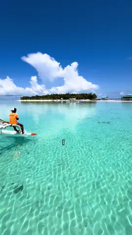 #shaving #shavingtips #skincare #hairremoval #safetyrazor #ecorazor #nz #australia #shavinghacks #razorburn #strawberrylegs 