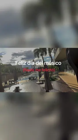 🥲 #humor #guitar #music #musicosentiktok #fyp #diadelmusico 