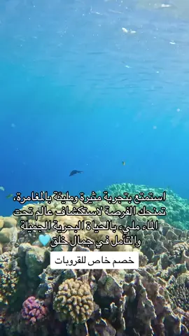 #CapCut #الدمام_الخبر_الشرقيه #الدمام_الخبر_الاحساء_الجبيل_الظهران #الدمام_الشرقية #الخبر #غوص #scubadiving #diving #dive 