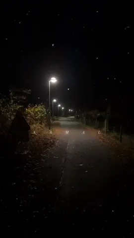 حسافه كل أيماني فيك 😪 #الشامي #بالنار #دكتور #دوالي  #الشامي #الشامي_alshami #الشامي_alshami🖤🥀 #اغاني_الشامي #al_shami  #alshami_music #ياليل_ويالعين  .  .  .  .  .  .  #قوالب_كاب_كات #شاشه_سوداء #ستوريات #ذوق #capcut #tiktok #trending #fyp #foryou #foryoupage #viral #viralvideo #capcut@Al shami - الشامي 