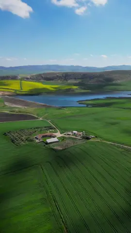 هذا هوا جمال  معتمدية جومين  ❤️🇹🇳 #fyp #foryou #visittunisia #سياحة_تونس 