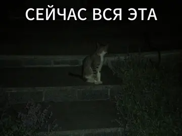 один из любимых <3 #кишлак #кишлакапфс #эскапист #эскаписткишлак #схаваламосква #1111 #soundlyrics #music #рек #fyp #глобальныерекомендации #максимфисенко 