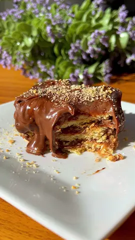 Recordando cuando vendia marquesas ♥️ quieren un video con la receta ?  #venezuela #venezuelandessert #postre #postresfaciles #desserttiktok #dessertrecipe #postrevenezolano #postresdeliciosos #marquesa #fy #sugar #cake #chocolate #chocolatecake #recetas #recipes 