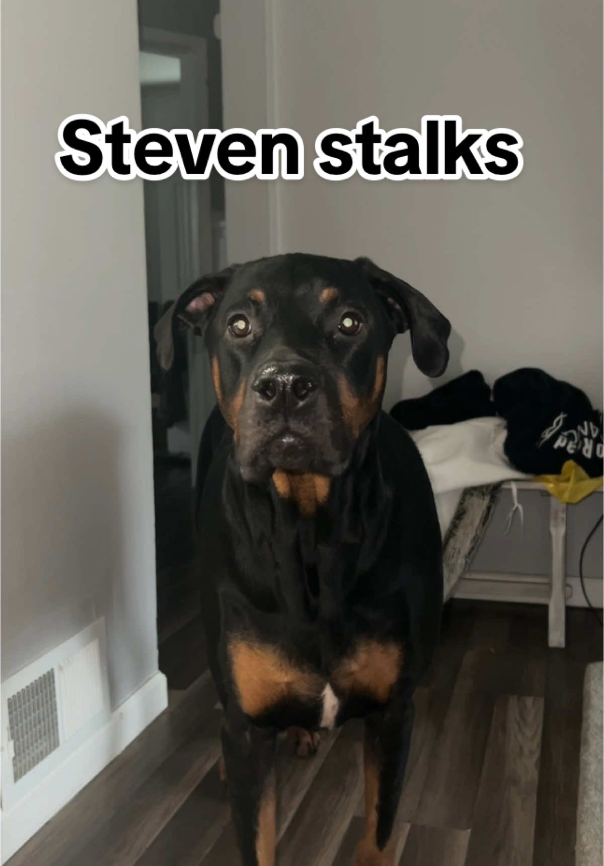 Steven the stalker says its lunch time
