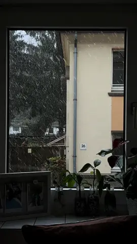 🤍 #فيا_حب_فيا_وجد #بدون_موسيقى #مالي_خلق_احط_هاشتاقات #شتاء #ثلج 