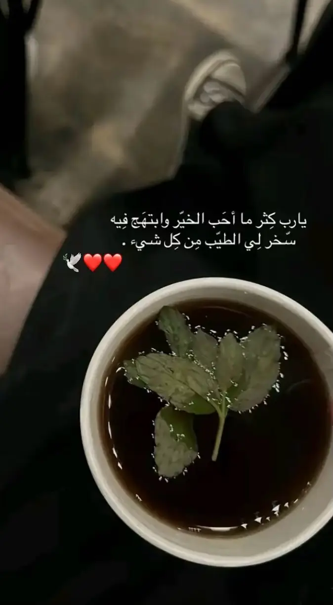 #جفيت #الي ماتلاقى له مثيل #طلعوه #اكسسبلور❤️🎶🕊️ 