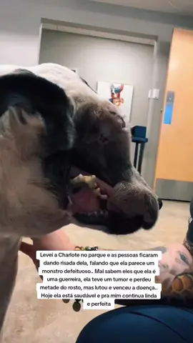 Uma guerreira linda e perfeita 🥹 #cachorro #pet #cachorrosnotiktok #viralata #petlover #cachorrosfofos #PetsOfTikTok #cachorrosdotiktok #viralatacaramelo #cachorrofofo #viralatalovers 