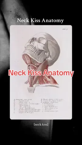 Newest audio on @Quinn  Join! Listen! ✨🎧✨