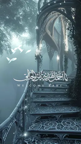 #بشارة مولود بدون اسم او حقوق 🤍  #دعوات_الكترونية #تصاميم_فيديوهات #استقبال_مواليد #explore #fypシ #بشارة_مواليد #بشارة_مولود #بشارة_مولود 