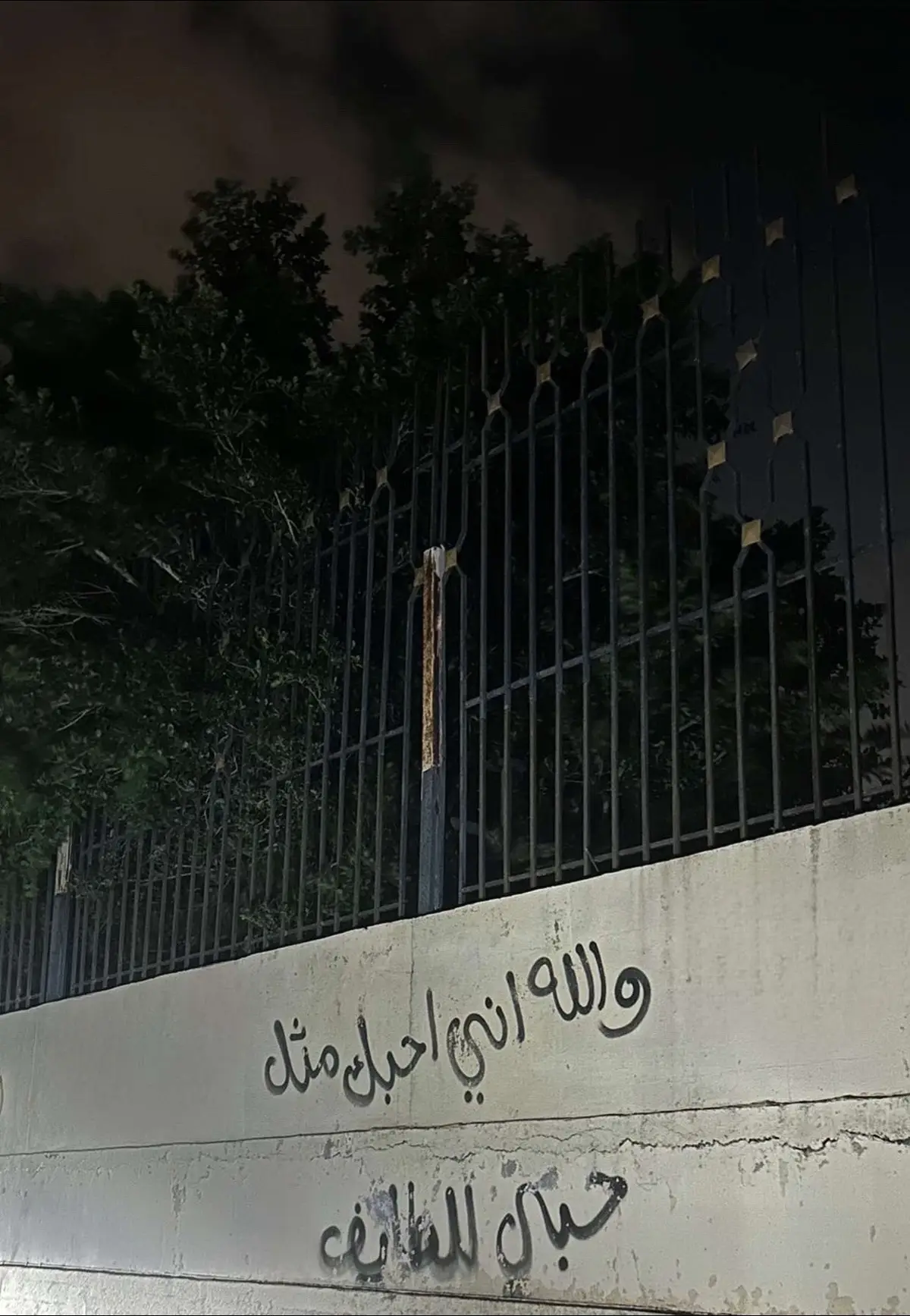 #الطايف #taif #fyp #اكسبلورexplore #foryou #explore 