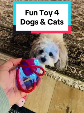 My four dogs love this 360° Smart Rolling Pet Ball! It moves on its own, avoids obstacles, and keeps them entertained for hours. Tough, safe material and rechargeable battery make it a win. Perfect for dogs who love to chase#rolling #toys#pettoys #interactive #dogs#cats#cattoys#dogtoys 
