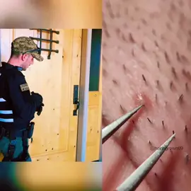 #cops #fridayswithfrank #police #tiktok #fyp #foryou 