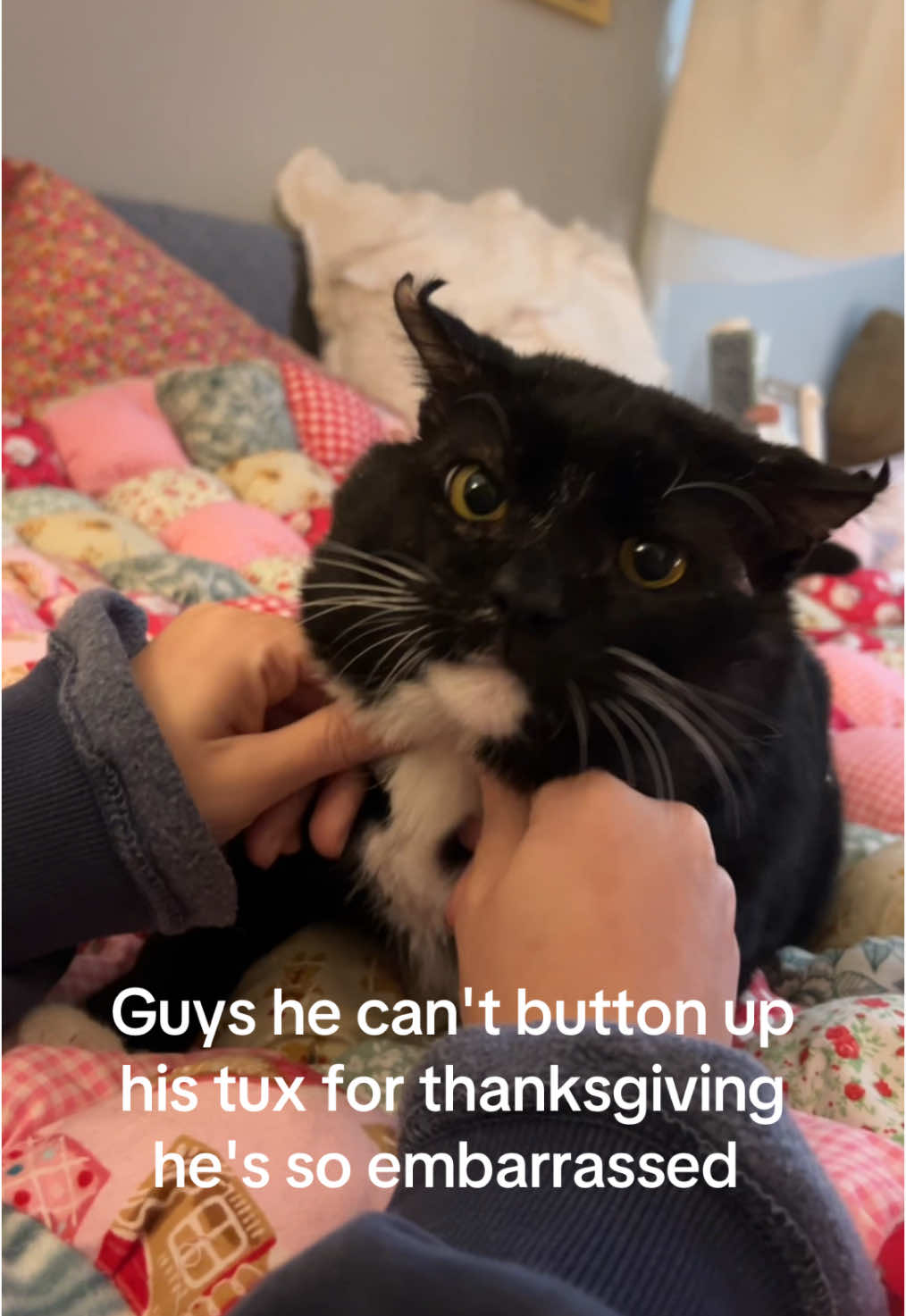 Hes so sad 💔 #cattok 
