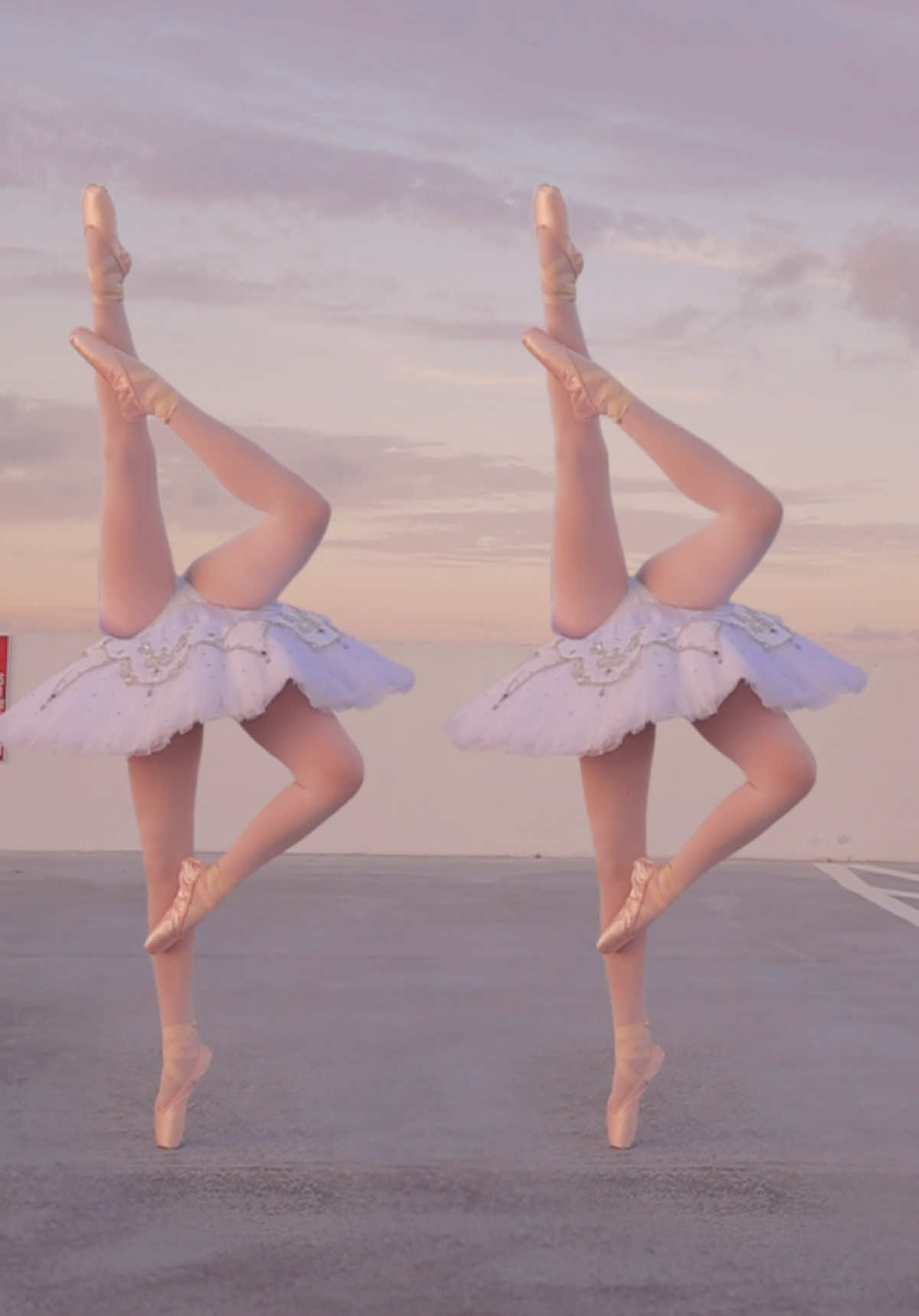 Esto son 4 o 2 cisnes? 😅🦢 #ballet #swanlake 