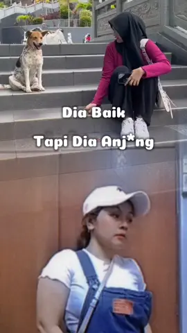 #CapCut 