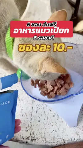 อาหารแมวเปียก แมวชอบ coucou #อาหารแมวเปียก #เปียกแมว #อาหารแมว #อาหารแมวเปียกcoucou #อาหารแมวcoucou #tiktokshopครีเอเตอร์ #ราคาดีทุกวัน #รีวิวปังราคาล็อค #ttsร้านใหม่ลดแรง #tiktokshopช้อปกันวันเงินออก 