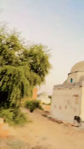 Aly kithy Hundo Dilber🤔 #unfrezzmyaccount #repostplssssss #foryoupage❤️❤️ #repostallplz #trending #song #foryoupage❤️❤️ #repostplssssss #repostallplz #unfrezzmyaccount #repostplssssss #foryoupage❤️❤️  @FaQeeR ABdul JaBBar DaRs😍⚡⚡⚡ @Ghulam Nabi @❤Mashooque❤ Mirpur Khasi❤ @✨👑   W  A  D  E  R  O    👑✨ @جِي-اِينْ ـ 